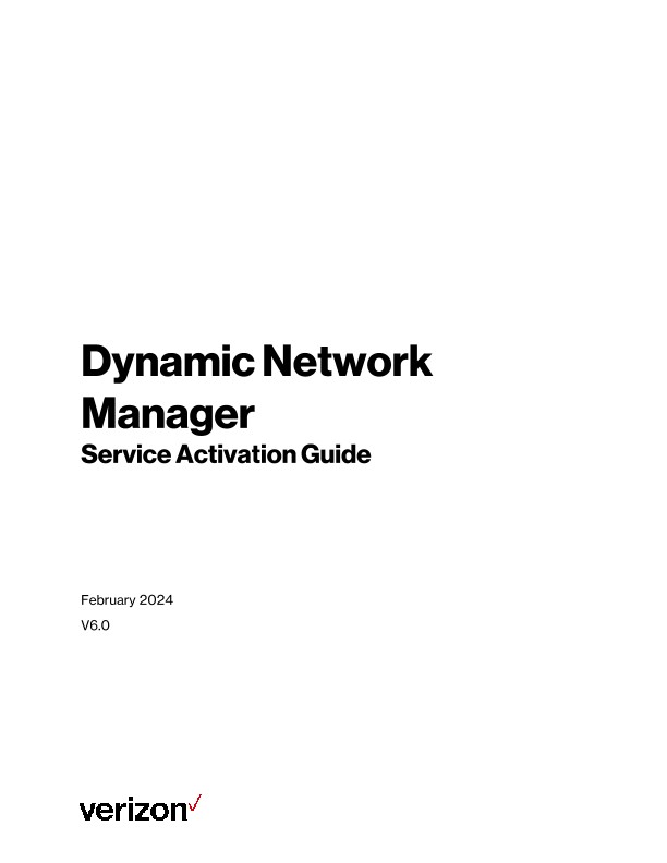 Dynamic Network Manager